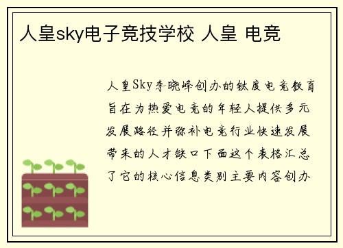 人皇sky电子竞技学校 人皇 电竞